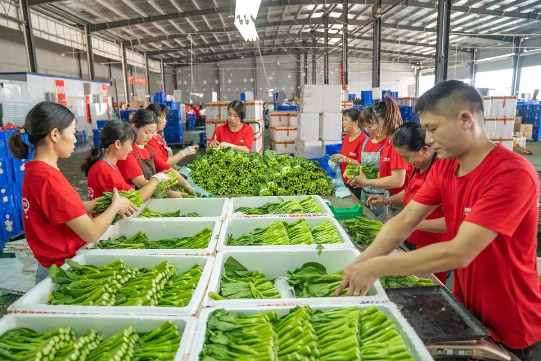 微信图片_20250325153640