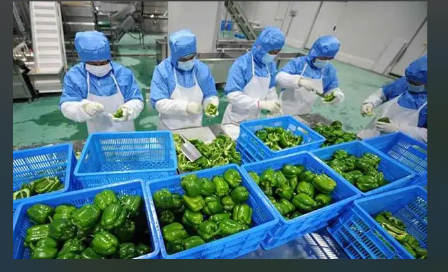 微信图片_20250325153624