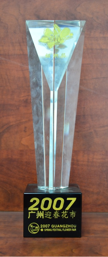 广州迎春花市组织奖