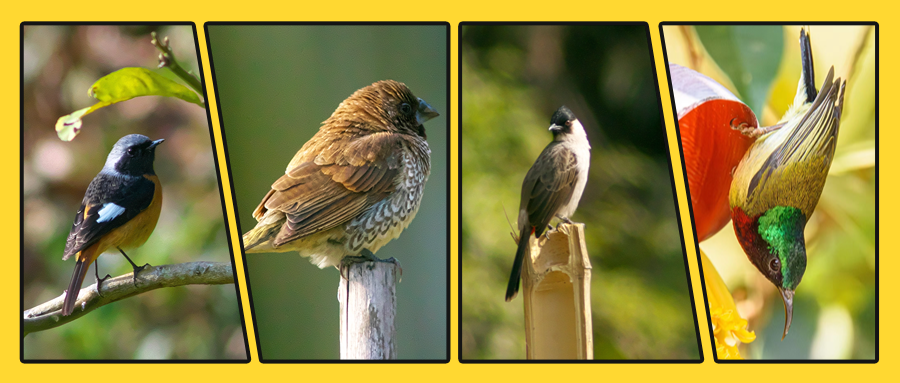 美食零食测评攻略新品公众号首图 (1)