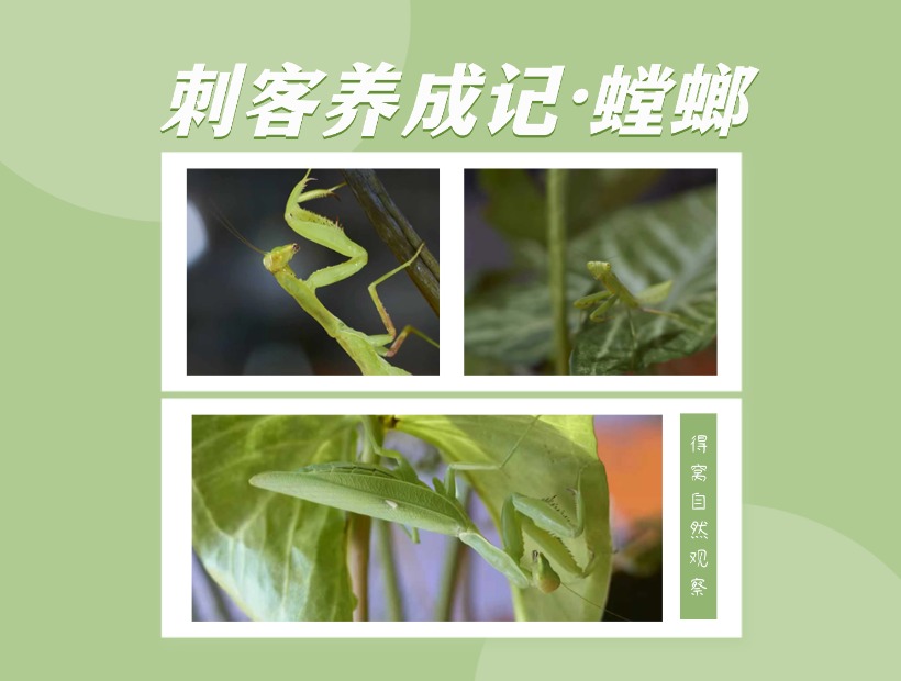 创意晒图晒照小红书配图 (1)