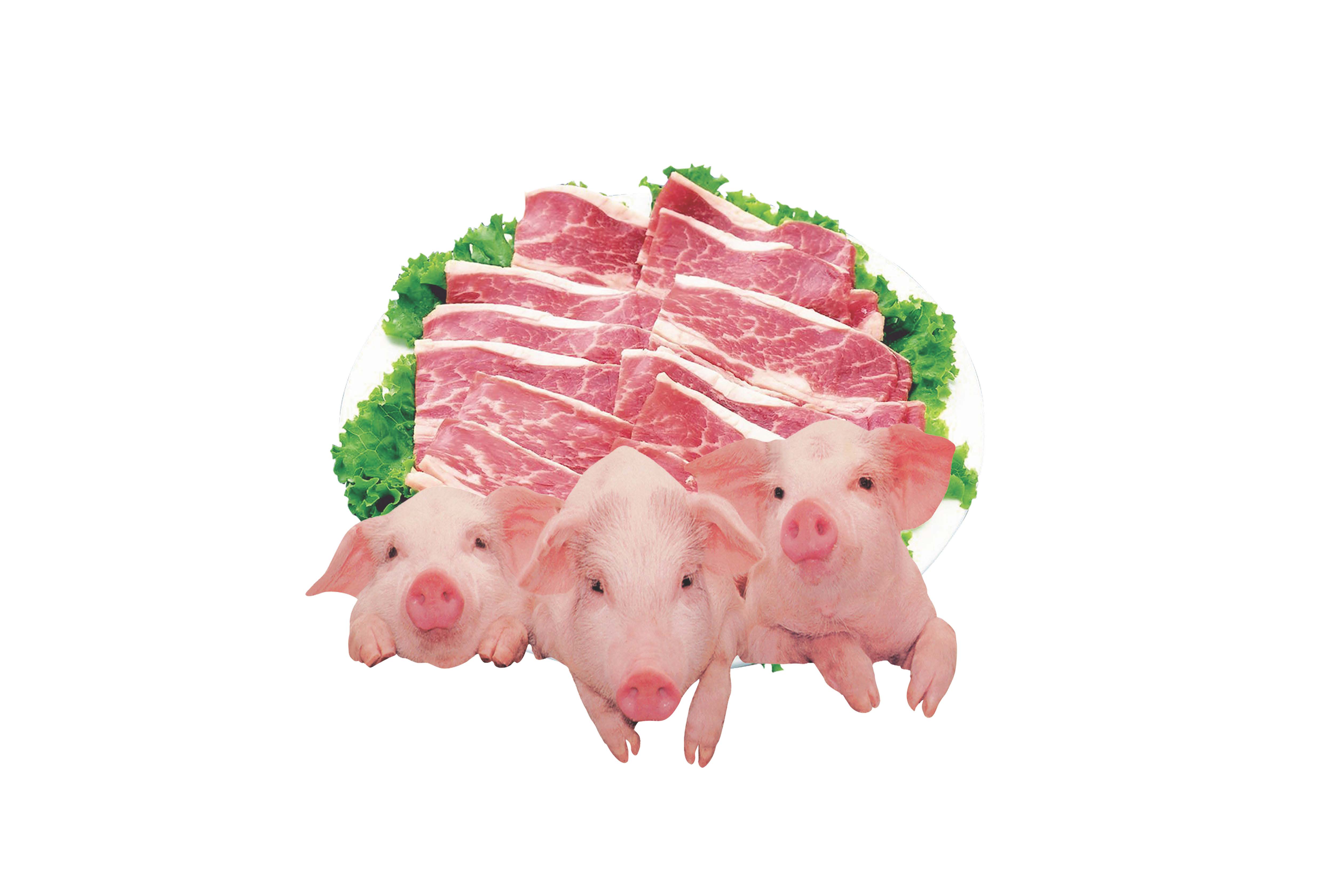 猪肉2