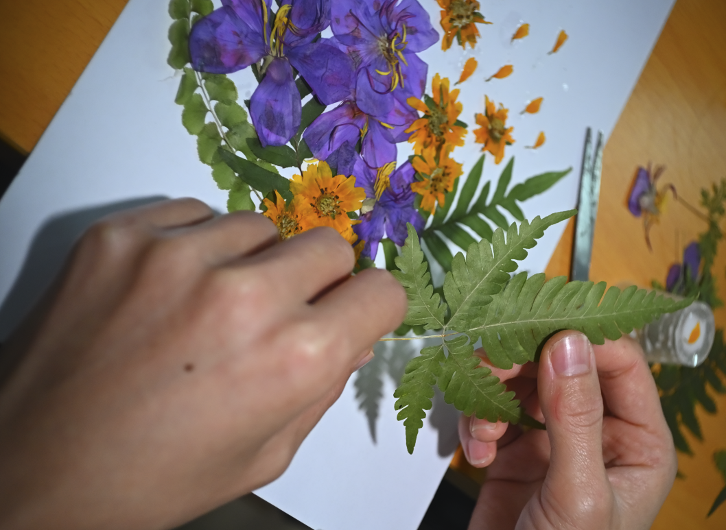 20e56f8f517a3379c49dd9c58d507e4