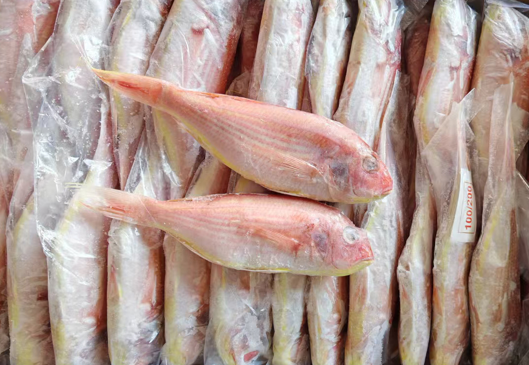 aebe368a34a7f7e195ad90b6e74bd2a