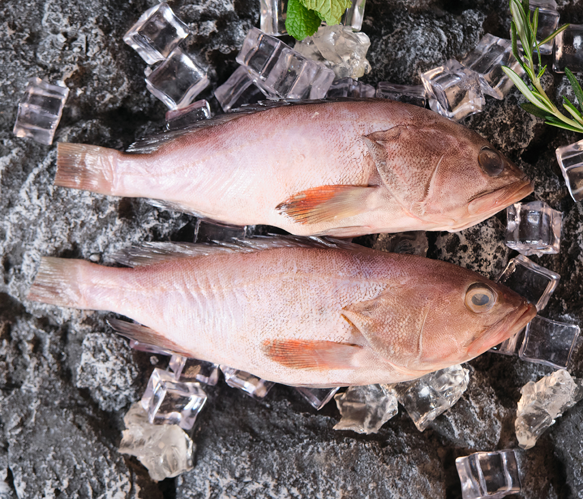 微信图片_20241202112005